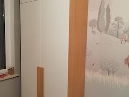 Распашной шкаф на заказ